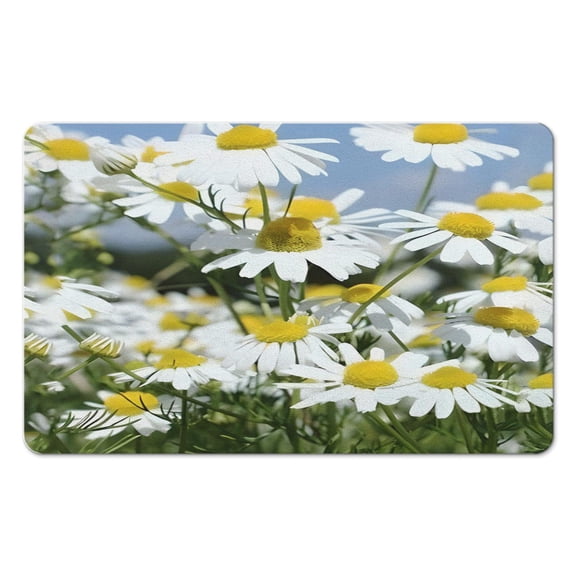 Indulge in Spa Luxury Quick Dry & Absorbent Medallion Floral Bath Rug, Perfect Bathroom Addition