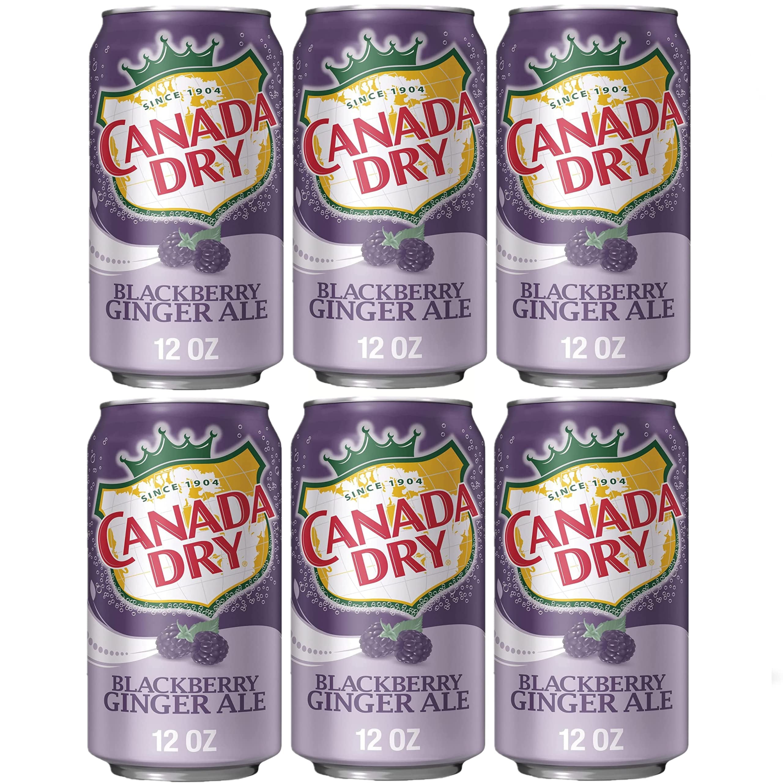 Indulge in the Refreshing Fusion of Canada Dry Blackberry Ginger Ale 6 Pack of 12oz Cans