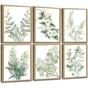 Induslyfe Framed Eucalyptus Sage Green Botanical Plant Wall Art Canvas Decor Set of 6, Leaves Wall Art Prints Posters Art, Eucalyptus decor Flower wall art for bathroom bedroom living room decor 9x12