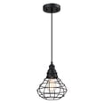 thumbnail image 1 of Industrial 1-Light Pendant Lighting Kitchen Island Hanging Vintage Farmhouse Pendant Light for Dining Room with Metal Cage, 1 of 8