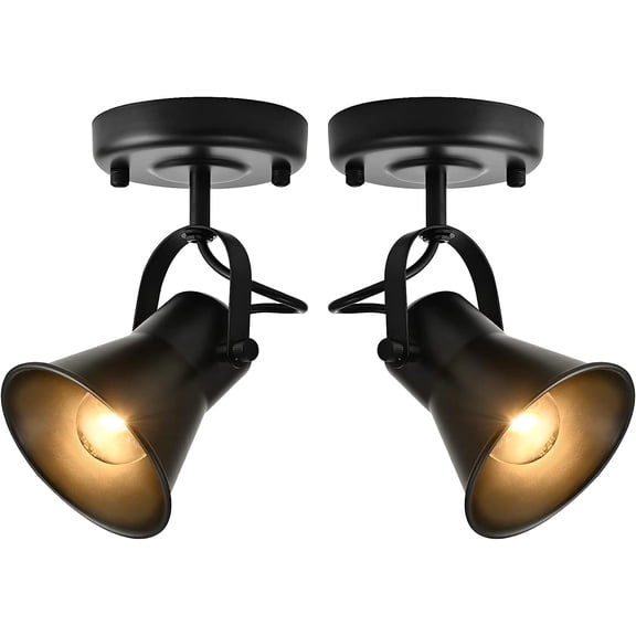 Industrial Ceiling Mount Adjustable Spotlights,2 Pack Indoor Spot Lights