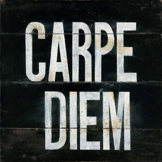Industrial Chic Carpe Diem Canvas Art - Arnie Fisk (24 x 24)