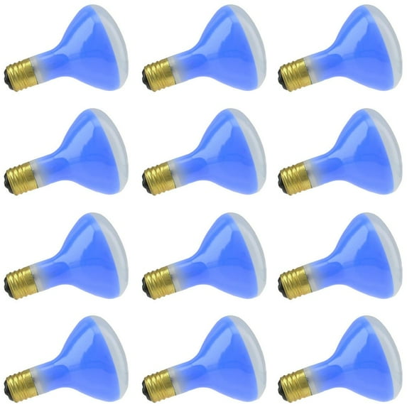Industrial Performance 100/300/R40-BLUE Neck 120V, 100/200/300 Watt, R40, Mogul Screw (E39D) Base Light Bulb (12 Bulbs)