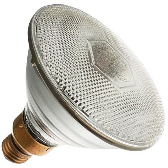 Industrial Performance 100PAR/FL 130V, 100 Watt, PAR38, Medium Screw (E26) Ba...