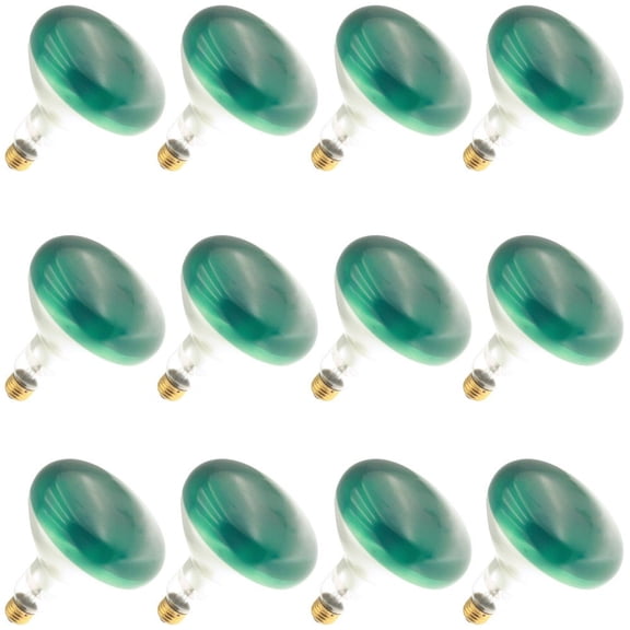 Industrial Performance 100R40/G 125V, 100 Watt, R40, Medium Screw (E26) Base, Green Flood Light Bulb (12 Bulbs)
