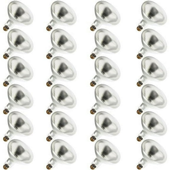Industrial Performance 200BR/SP 120V, 200 Watt, BR40, Medium Screw (E26) Base Flood Light Bulb (24 Bulb)