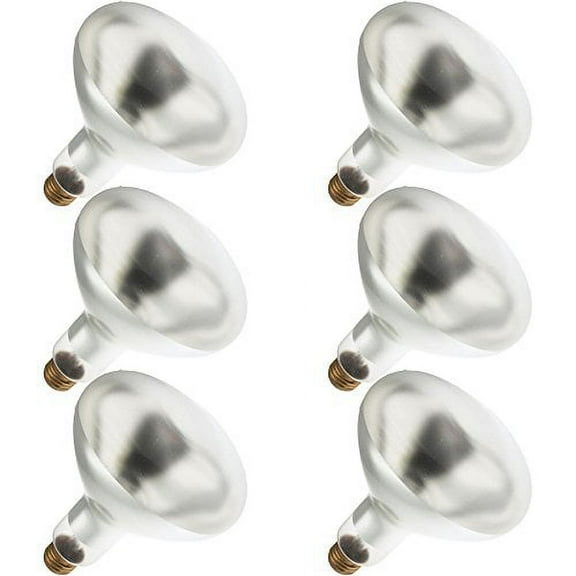 Industrial Performance 200BR/SP 120V, 200 Watt, BR40, Medium Screw (E26) Base Flood Light Bulb (6 Bulb)