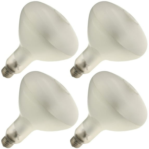 Industrial Performance 250SB/MED/R40 120V, 250 Watt, R40, Medium Screw (E26) Base Light Bulb (4 Bulbs)