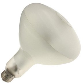 Industrial Performance 250SB/MED/R40 120V, 250 Watt, R40, Medium Screw (E26) ...