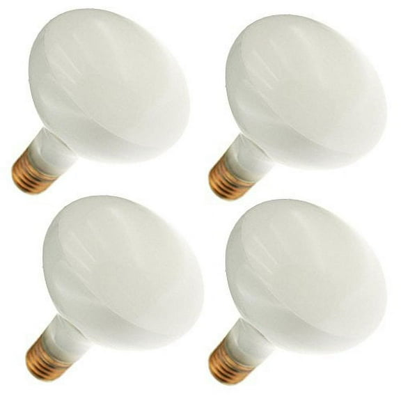 Industrial Performance 300R40/3FL 130V, 300 Watt, BR40, Mogul Screw (E39) Bas...