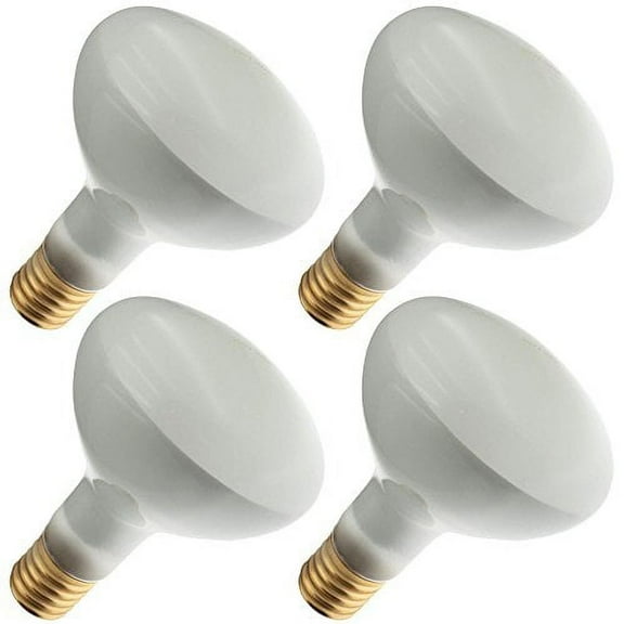 Industrial Performance 300R40/3FL 250V, 300 Watt, R40, Mogul Screw (E39) Base Light Bulb (4 Bulbs)