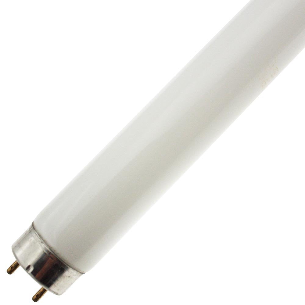 Norman Lamps F10T8-CW Cool White Fluorescent Tube - 10W, 4200K, 13.5 Inch T8 Bulb With 8000 Hour Life