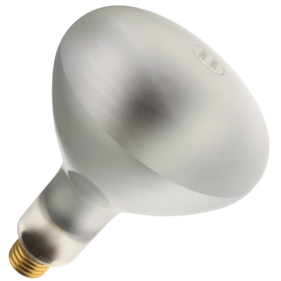 Industrial Performance Floodlight 300R40/FL, 250 Volt, Medium Base, Frosted R40 Light Bulb (12 Pack)
