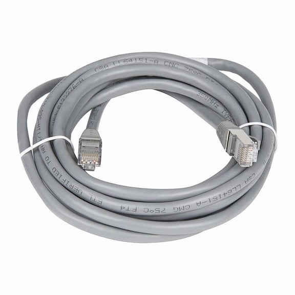 Industrial Scientific CAT5E Network Cable,10 ft. 17113895