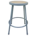 thumbnail image 1 of Industrial Shop Stool ALEIS6624G - Metal Lab Stool with Foot Ring - Durable Garage Stool for Workshops, Factories, Science Labs & Art Studios, 1 of 2