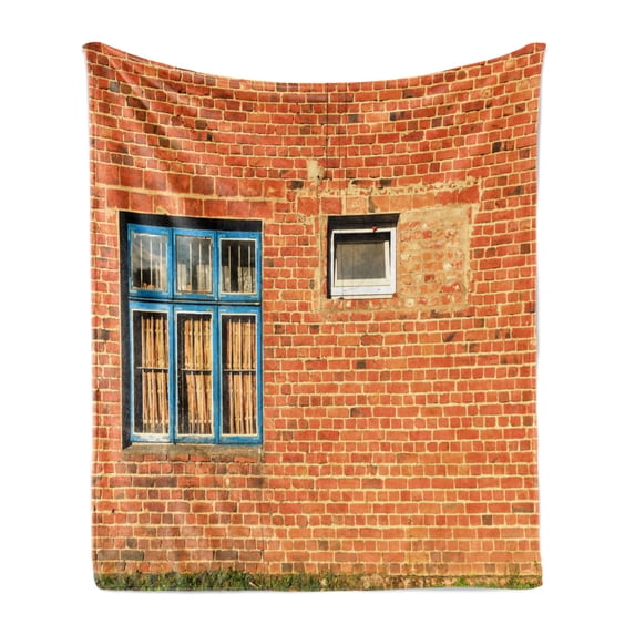 Industrial Soft Flannel Fleece Throw Blanket, Discarded Ruin with Old Windows and Wall Aged Construction in Suburbs Print, Cozy Plush for Indoor and Outdoor Use, 50" x 70", Multicolor, by Ambesonne