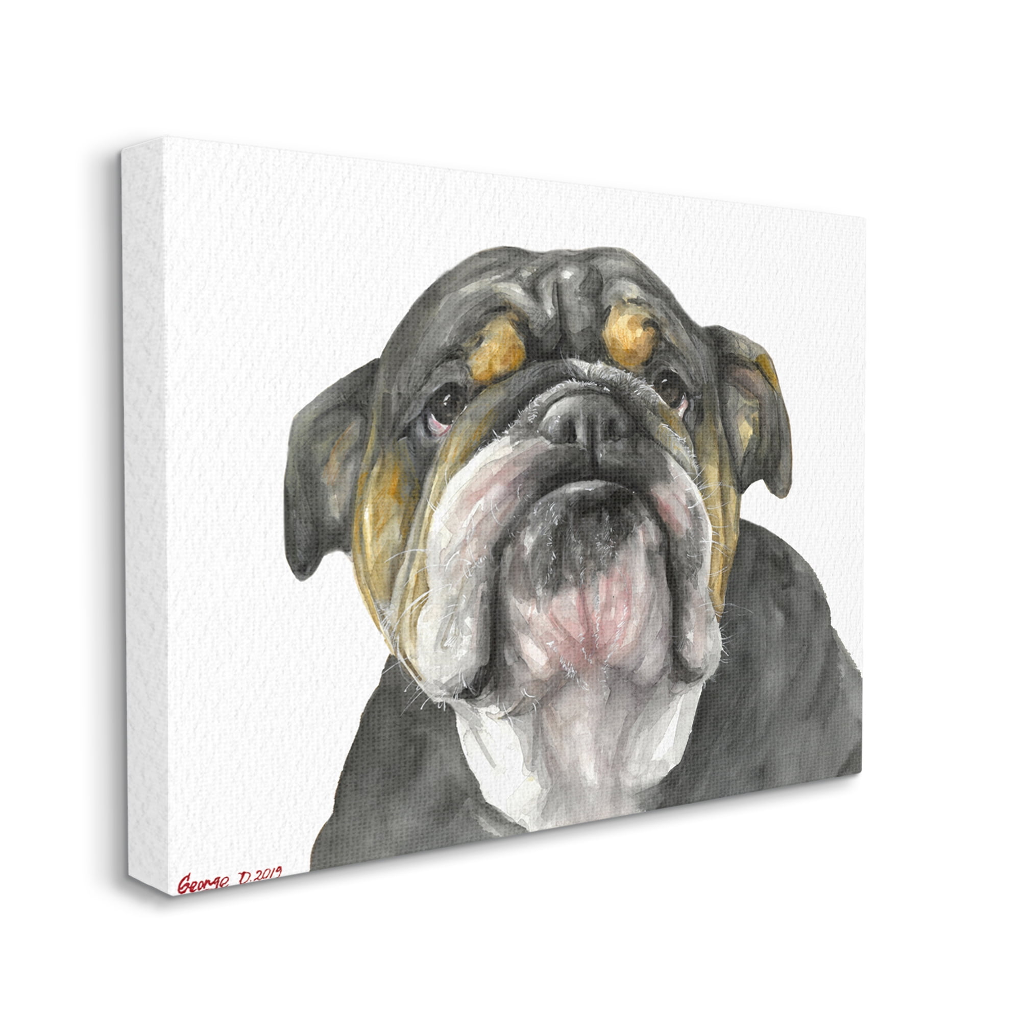 Stupell Industries Chubby Bulldog Portrait Old Dog Charm Black Brown Canvas Wall Art, 36 x 48, Design by George Dyachenko