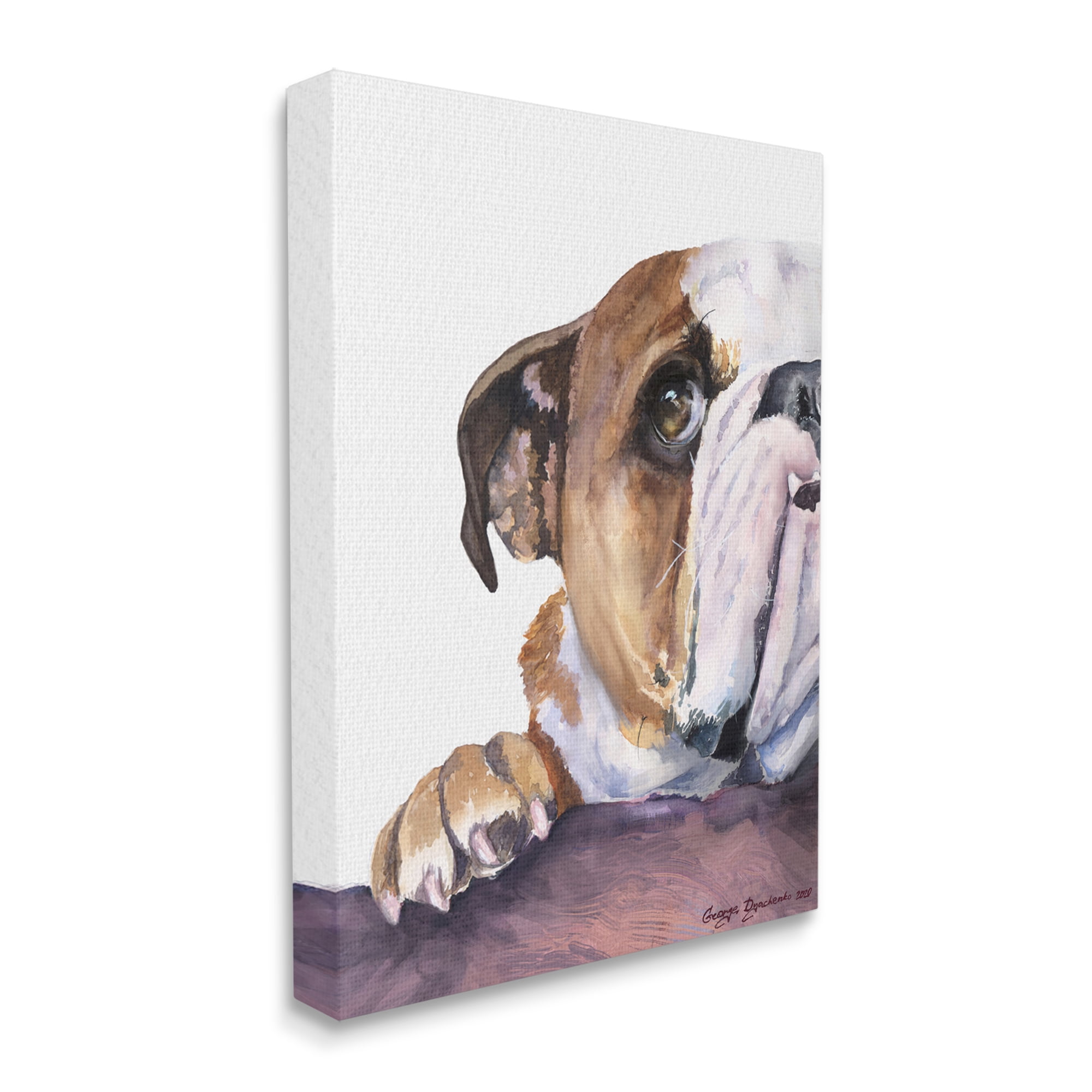 Stupell Industries Curious English Bulldog Gaze Pet Dog Portrait Canvas Wall Art, 24 x 30, Design by George Dyachenko