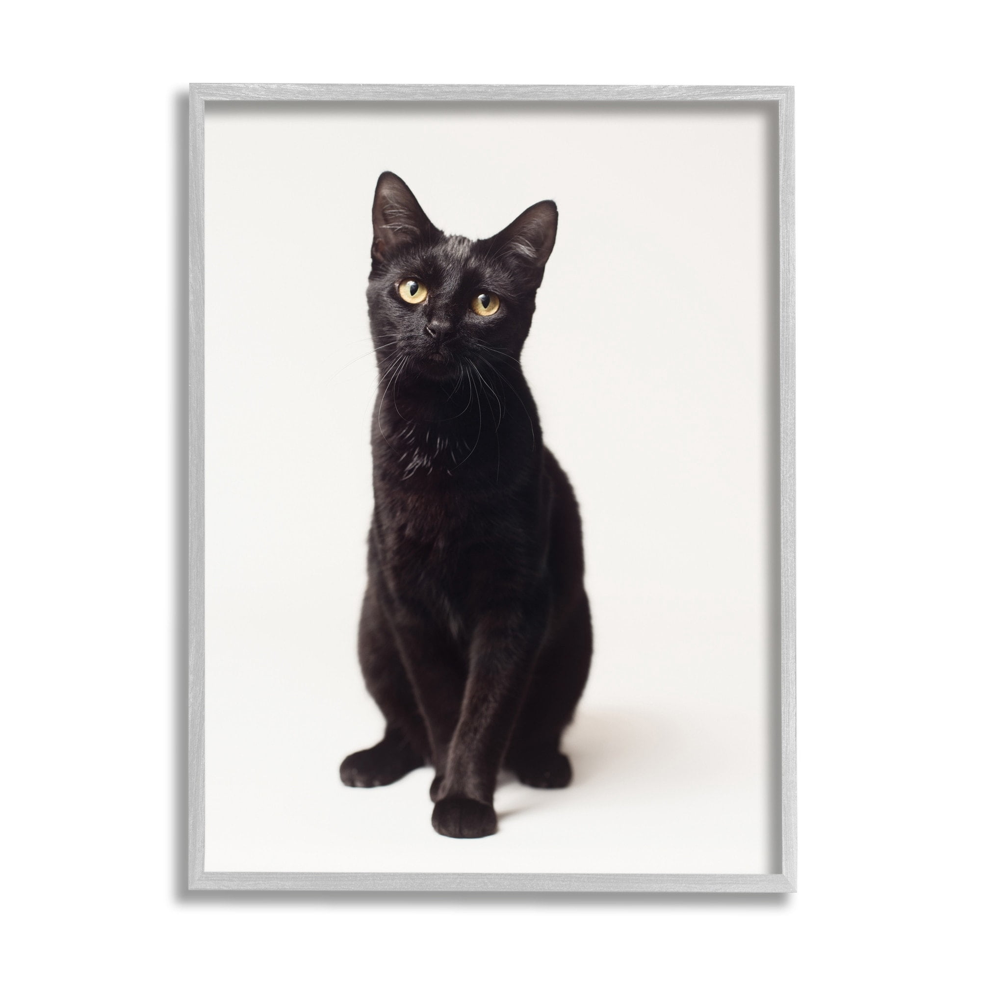Stupell Industries Cute Black Cat Expressive Eyes Pet Portrait,11 x 14,Designed by Marika Moffit