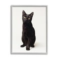 thumbnail image 1 of Stupell Industries Cute Black Cat Expressive Eyes Pet Portrait,11 x 14,Designed by Marika Moffit, 1 of 5