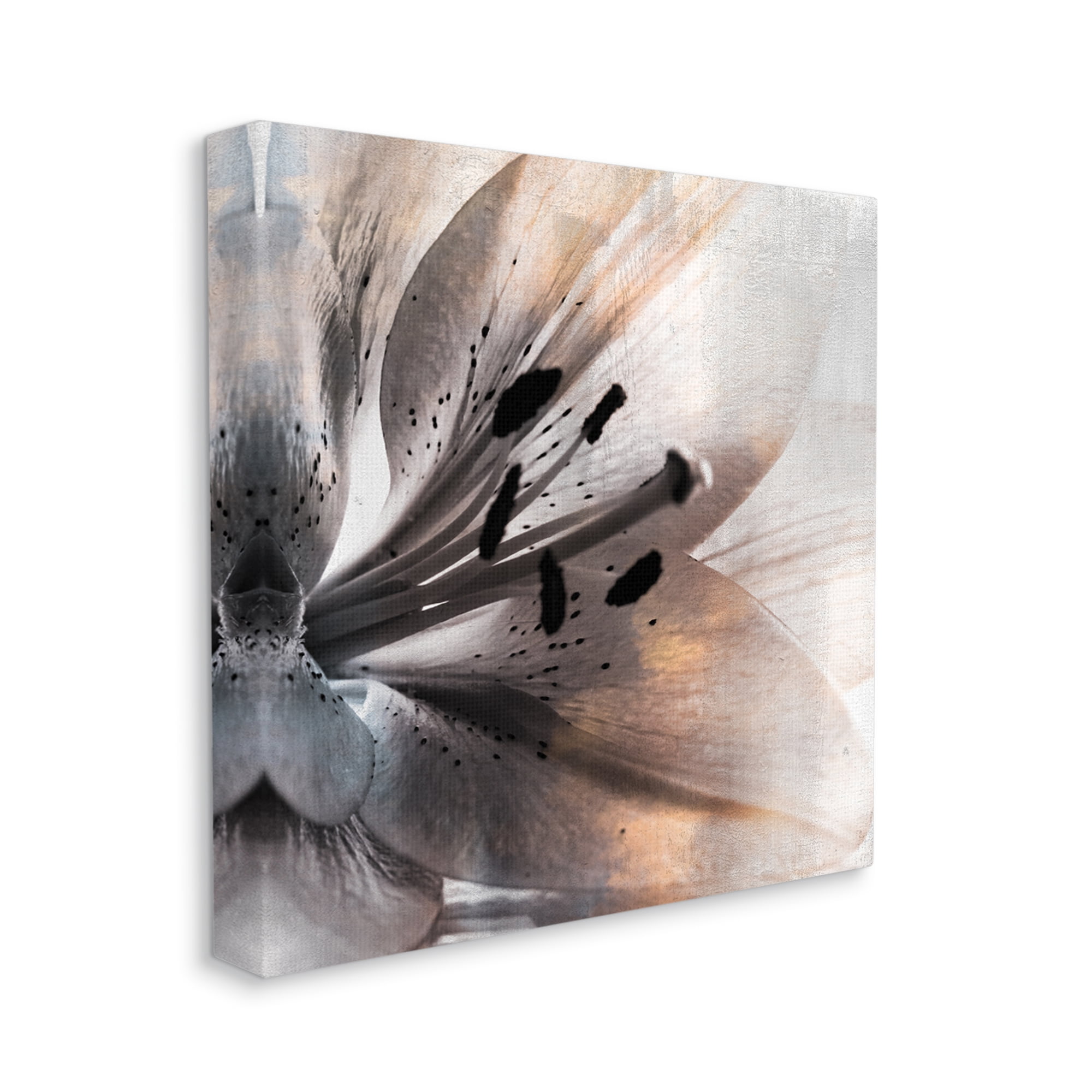 Stupell Industries Lily Floral Close Up Black White Petal Detail,24 x 24,Designed by Kim Allen