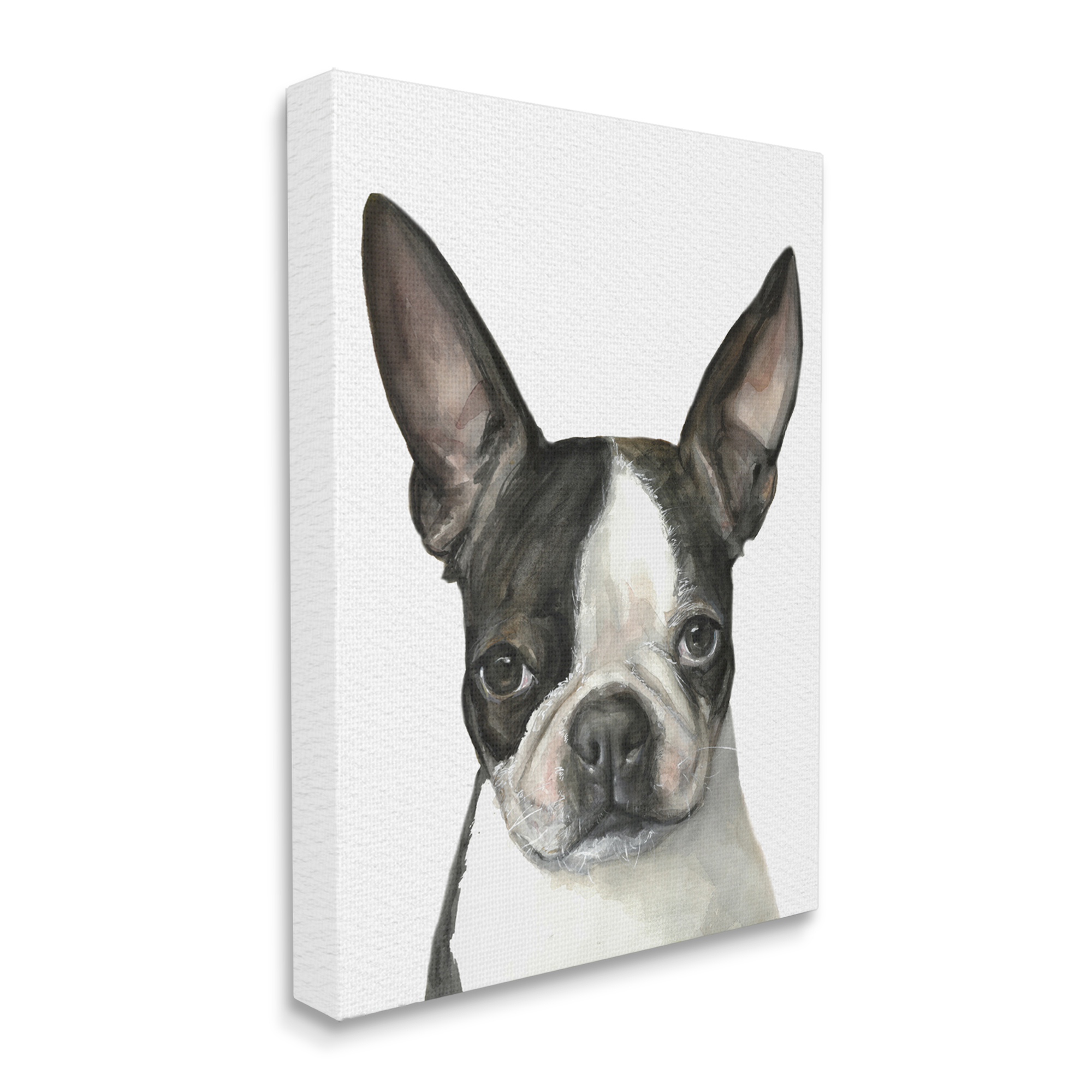 Industries Minimal Boston Terrier Portrait Pet Dog Black White 24 in x 30 in Painting Canvas Art Print, by Stupell Home Décor