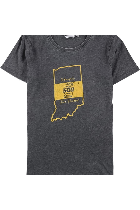 Womens State Logo Graphic T-Shirt, Grey, Medium