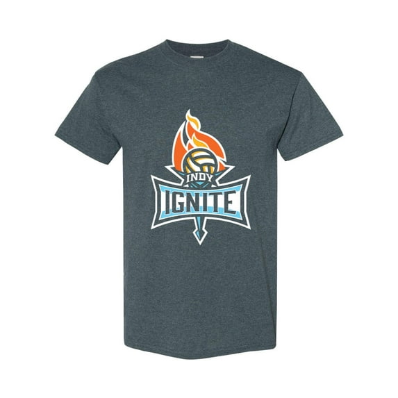 Indy Ignite Volleyball 2024 Pro Sports Team Fan T-Shirt, for men & women, up to size 5XL