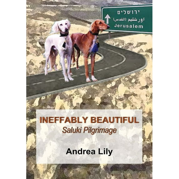 Ineffably Beautiful: Saluki Pilgrimage, (Paperback)