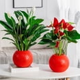 thumbnail image 1 of Inerposs Hydroponic Flower Pots, Indoor Plants Pot, Plastic Desktop Planters, Small Potted Plants for Living Room, Perfect for Plant Lovers, 1 of 6