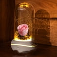 thumbnail image 1 of Inerposs LED Rose Aroma Diffuser, Eternal Flower Humidifier, Mist Diffuser for Relaxation, Night Light for Home Decor, Spa and Bedroom Use, 1 of 6