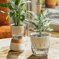 thumbnail image 1 of Inerposs Transparent Flower Pot, Double Layer Water Storage Pot, Self-Watering Plant Pot, Lazy Office Planting Solution, Easy Maintenance Flower Pot for Home Gardening, 1 of 8