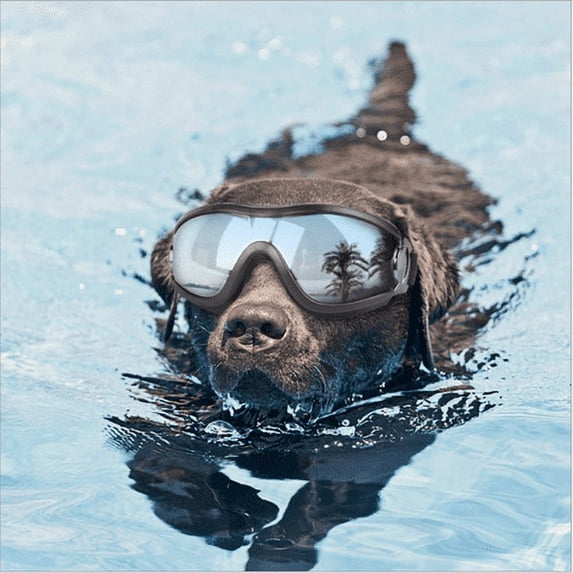 Inevnen Pet Dog UV Sunglasses Sun Glasses Swimming Goggles Eye Wear Protection for Pets