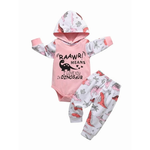 Infant Baby Girl Clothes Long Sleeve Letter Romper Hooded Cartoon Pattern Pants Outfits Set Pink 3-6 Months