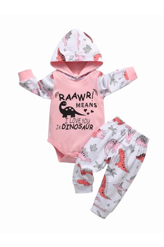 Infant Baby Girl Clothes Long Sleeve Letter Romper Hooded Cartoon Pattern Pants Outfits Set Pink 3-6 Months