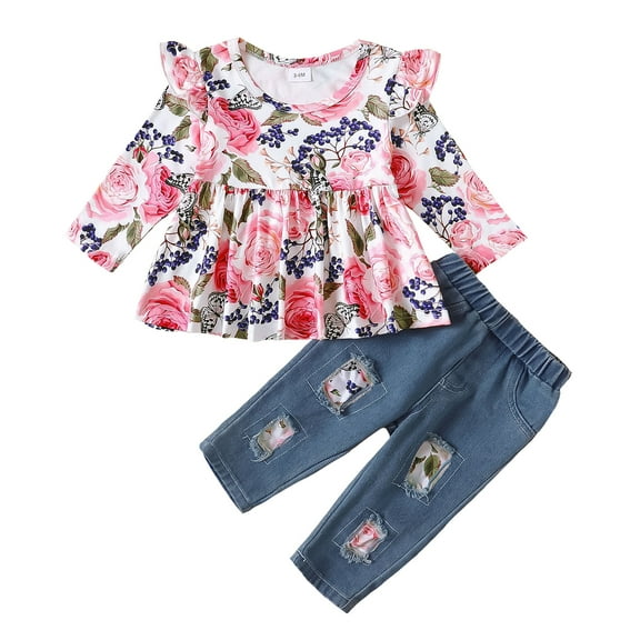 Infant Baby Girls Clothes Baby Girls Outfits Long Sleeve Round Neckline Floral Top Jeans Pants 2PCS Girls Fall Winter Clothing Set Pink 6-9 Months
