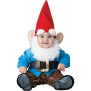 Infant Boys and Girls Unisex Lil Garden Gnome Halloween Costume Set, InCharacter Costumes, Sizes 0-18M