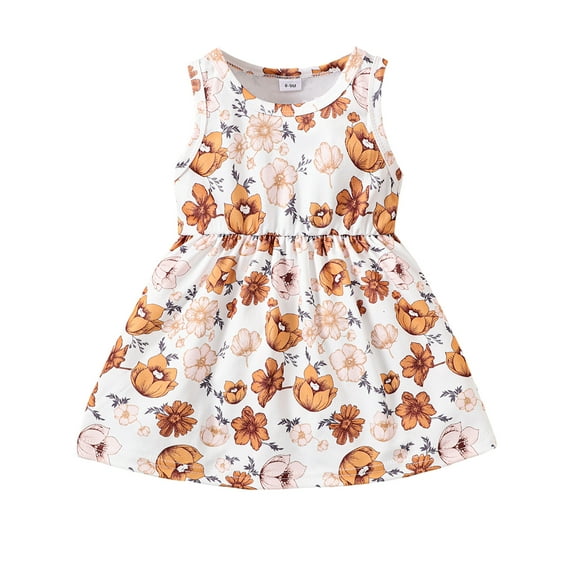 Infant Girls Dress 9 Months Girls Summer Dress 12 Months Girls Sleeveless Sundress Floral Dress Multicolor