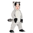 thumbnail image 1 of Infant Rascal Raccoon Costume, 1 of 3