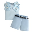 thumbnail image 1 of Infant Toddler Baby Girl Summer Clothes Bow Embroidery Short Sleeve T Shirts Top Shorts 2 Piece Summer Outfits Set Girls Summer Set 1-3 Years,2-3 Years, 1 of 9