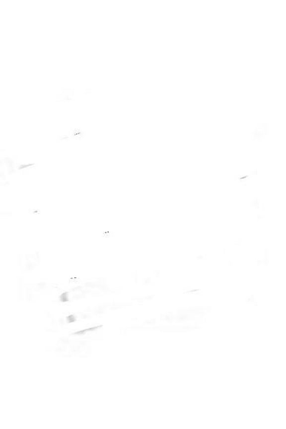 Infant Toddler Girls Black & Silver Foil Spider Web Halloween Tutu Skirt 3T