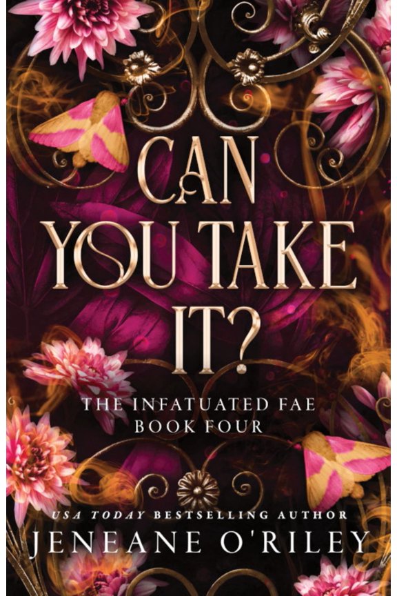 Can You Take It? (Deluxe Edition) (Deluxe) (Paperback)