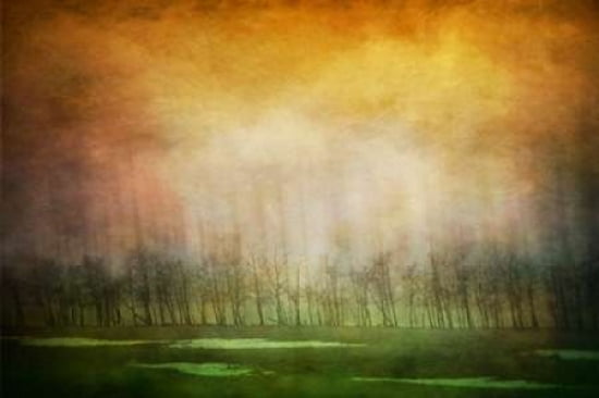 Infection Canvas Art - Roberta Murray (24 x 36)