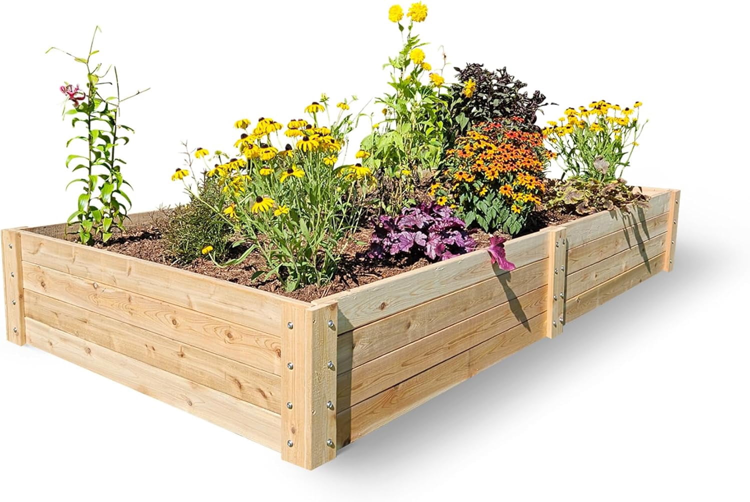 Casetta da Giardino In Resina Keter Darwin 4X6 Wood - K245957, acquista su