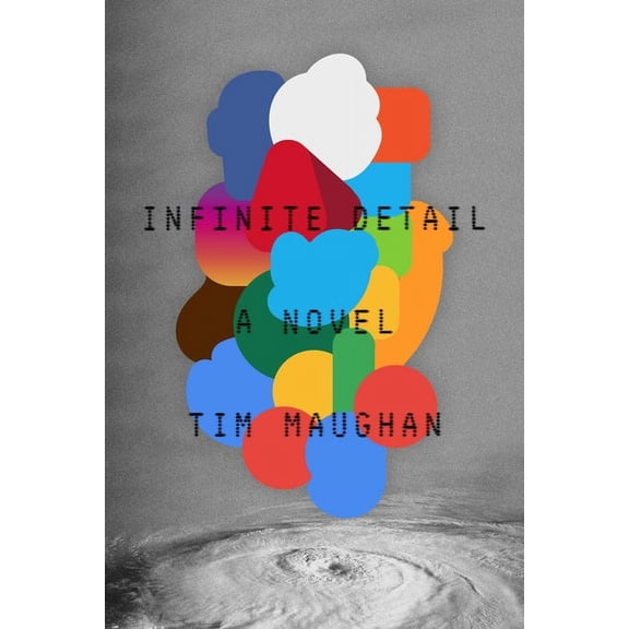 Infinite Detail : A Novel (Paperback)