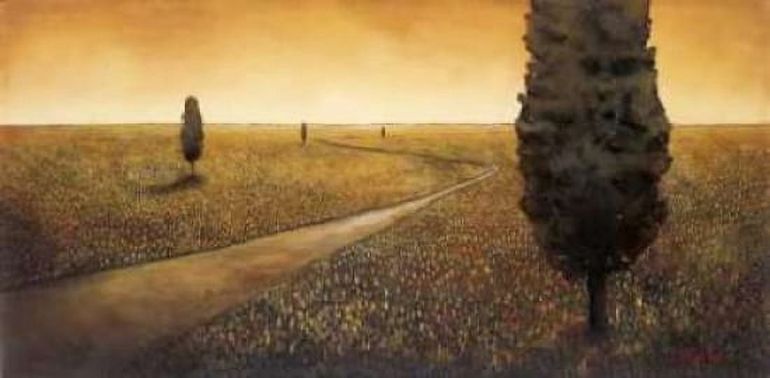 Infinite Dreamscape Canvas Art - Patrick StGermain (10 x 20)