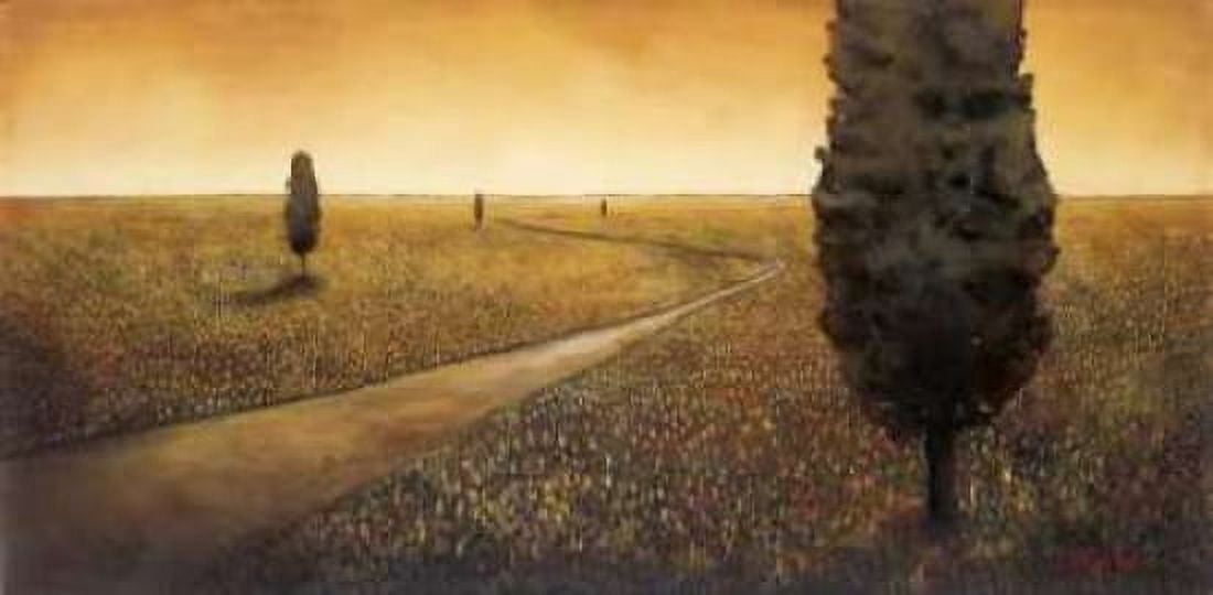 Infinite Dreamscape Canvas Art - Patrick StGermain (24 x 48)