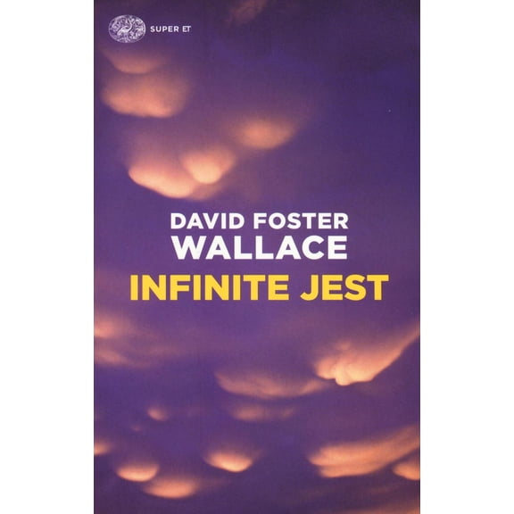 Ian McEwan Infinite Jest (Paperback)