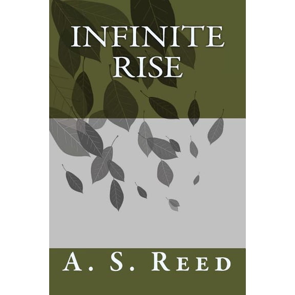 Paladin: Infinite Rise (Paperback)