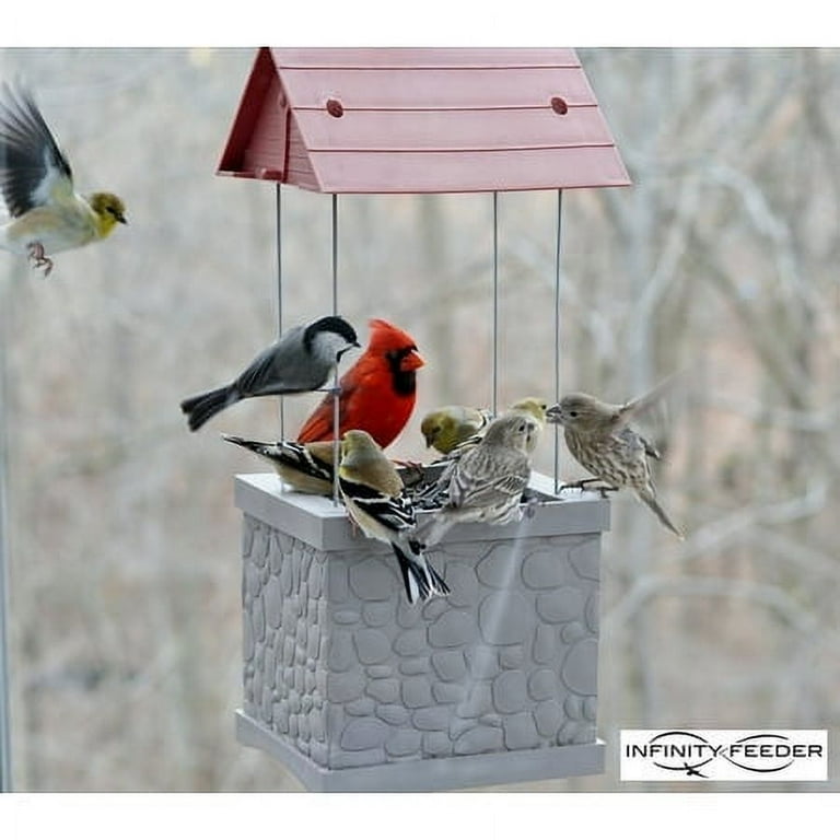 Infinity Bird Feeder - Wild Bird Feeder with 360 Degree View of Feeding Birds Infinity Bird Feeder - Wild Bird Feeder with 360 Degree View of Feeding Birds
